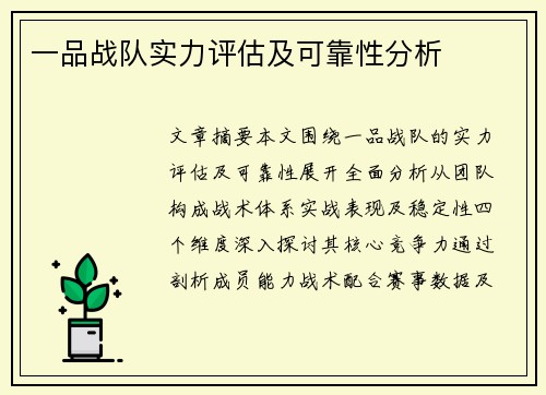 一品战队实力评估及可靠性分析